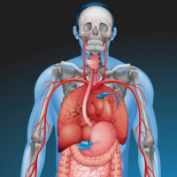 #17 - Canais do Corpo e da Mente (Srotamsi)