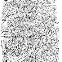 #20 - Canais do Corpo - Srotas - Parte 3