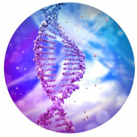 #13 - Os Sete Tecidos Corporais (Dhatus)