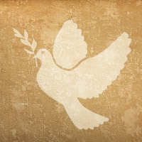 #226. Wie wint straks de Nobelprijs (en heeft dat nog enig belang)?