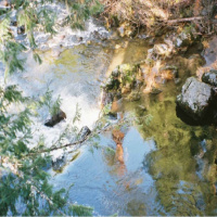 audio_BB-112_About the Original Abraham Accords