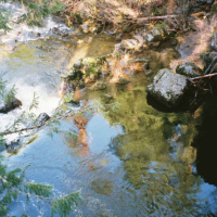 English_BB-67 Into to 10 Commandments_with Page2