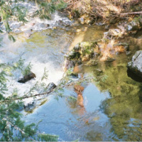 BB-69 Approaches to Sacred Texts