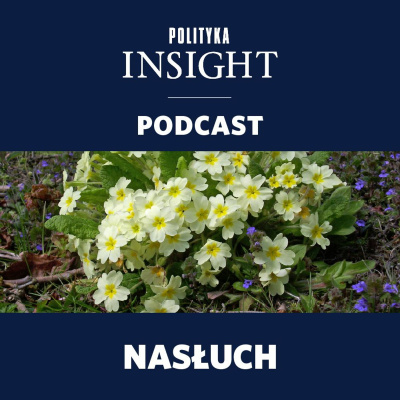 Polityka Insight Podcast