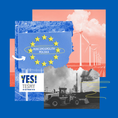 Polityka Insight Podcast