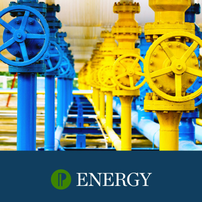 Polityka Insight Podcast