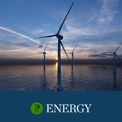 Polityka Insight Podcast