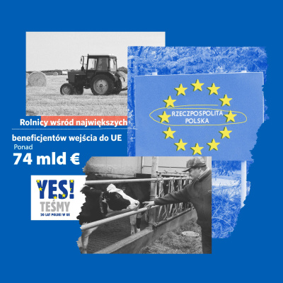 Polityka Insight Podcast