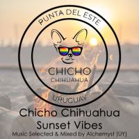 Alchemyst (UY) Sunset@Parador Chicho Chihuahua Punta del Este Part. 1