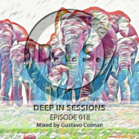Episodio 018 - Deepinsessions#Gustavo Colman