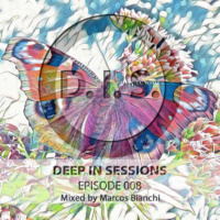 Episodio 008 - Deepinseesions#Marcos Bianchi