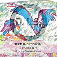 Episodio 037 - Deepinsessions#Gustavo Colman