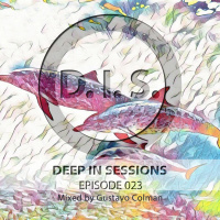 Episodio 023 - Deepinsessions#Gustavo Colman
