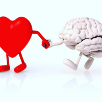 The Importance of Emotional Wellness