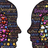 Judgement Part II: The Significance of Building a Rapport  Timing