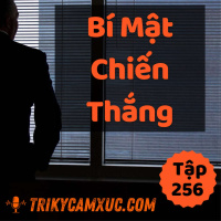 Bí Mật Chiến Thắng: Cố Gắng Chưa Chắc Thành Công - Tri kỷ cảm xúc #256