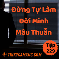 Đừng Tự Làm Đời Mình Mâu Thuẫn - Tri kỷ cảm xúc #229