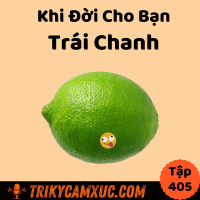 Khi Đời Cho Bạn Trái Chanh -Tri Kỷ Cảm Xúc #405