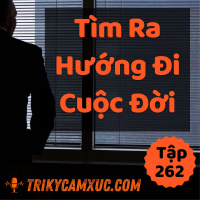 Dành Cho Người Chưa Tìm Được Hướng Đi Cuộc Đời - Tri kỷ cảm xúc #262