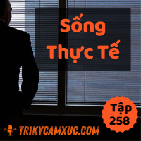 Hướng Về Lý Tưởng, Nhưng Phải Sống Thực Tế - Tri kỷ cảm xúc #258