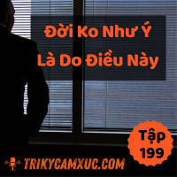 Đời Không Như Ý, Là Do Điều Này - Tri Kỷ Cảm Xúc #199