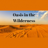 Oasis in the Wilderness - Audio