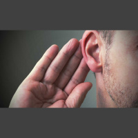 Listening to the Voices of Vocation - Audio