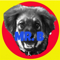 North Korea: aka Camp 22