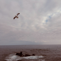 PONCHA (RAW DEAL MIX)