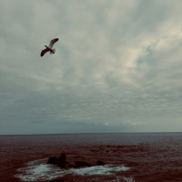 PONCHA (ORIGINAL MIX)