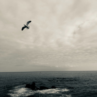 PONCHA (GROSSER CLUB MIX)