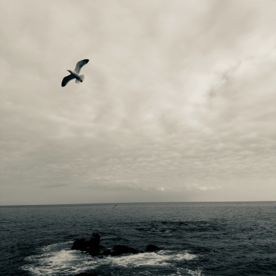 Bass Is Boss - Bass Music Podcast