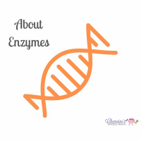 #211 Enzymes part 1 - the understanding