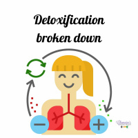 #230 Detoxification Broken Down