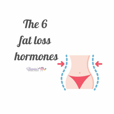 Find Your Model Health!