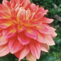 Forgiveness Series 10: Isn’t Forgiveness just Unhealthy Repression?