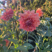 Forgiveness Series 2: What are the Benefits of Forgiveness? (Whats in it for the Forgiver?)