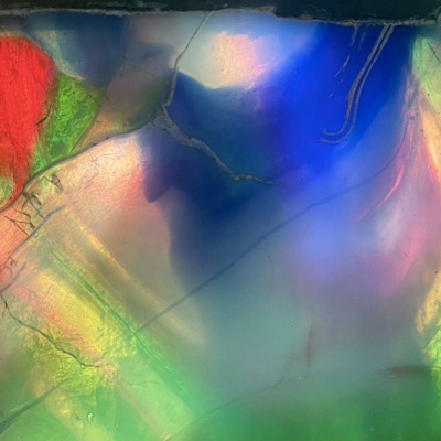 Psychology America With Dr. Alexandra