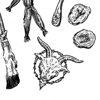 #1 Terrestrial Residency