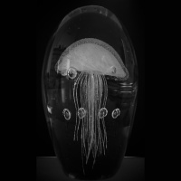 498 -- Uncompromising -- a personal message and a conversation with Leela Sinha