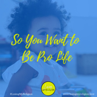 So You Want to Be Pro Life