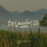 The Psalm 1 Life Part 3 | Bearing Fruit | Pastor Adam Wright