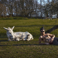 3.0 Sonidos Sasaffras 54 - RODRIGO CUEVAS -