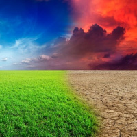 Heated Climate Journalist Emily Atkin