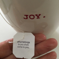 Comparison is the thief of Joy