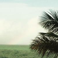 Braving disappointment  rejection