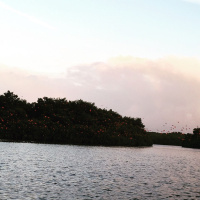 Caring for the World  Ourselves