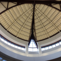 Tired: What are you tired of?