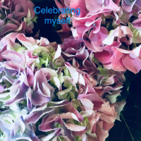 Celebrating  Mothering ourselves