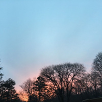 Reset Resolutions: Set Intentions